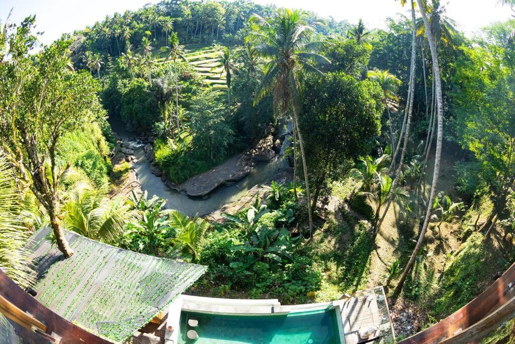 Ubud Riverside Villa Екстериор снимка