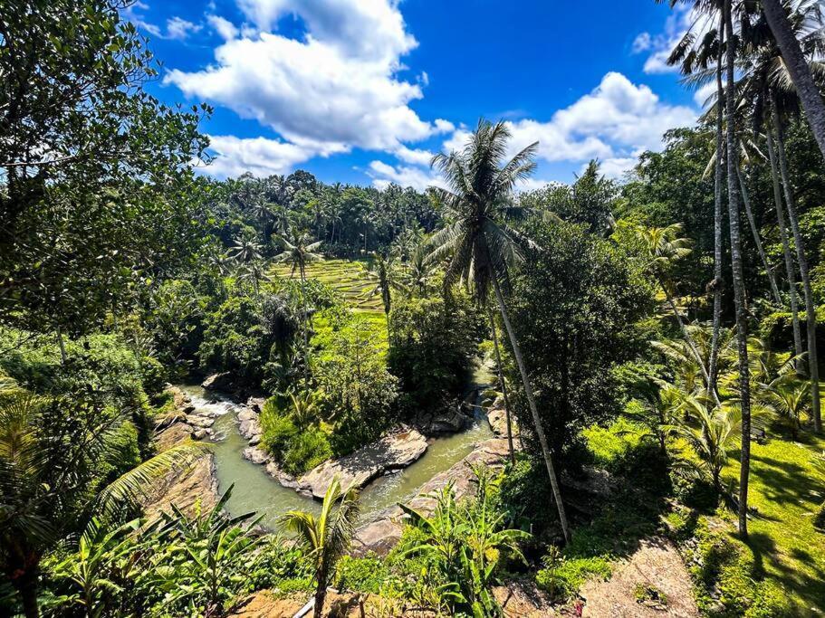 Ubud Riverside Villa Екстериор снимка