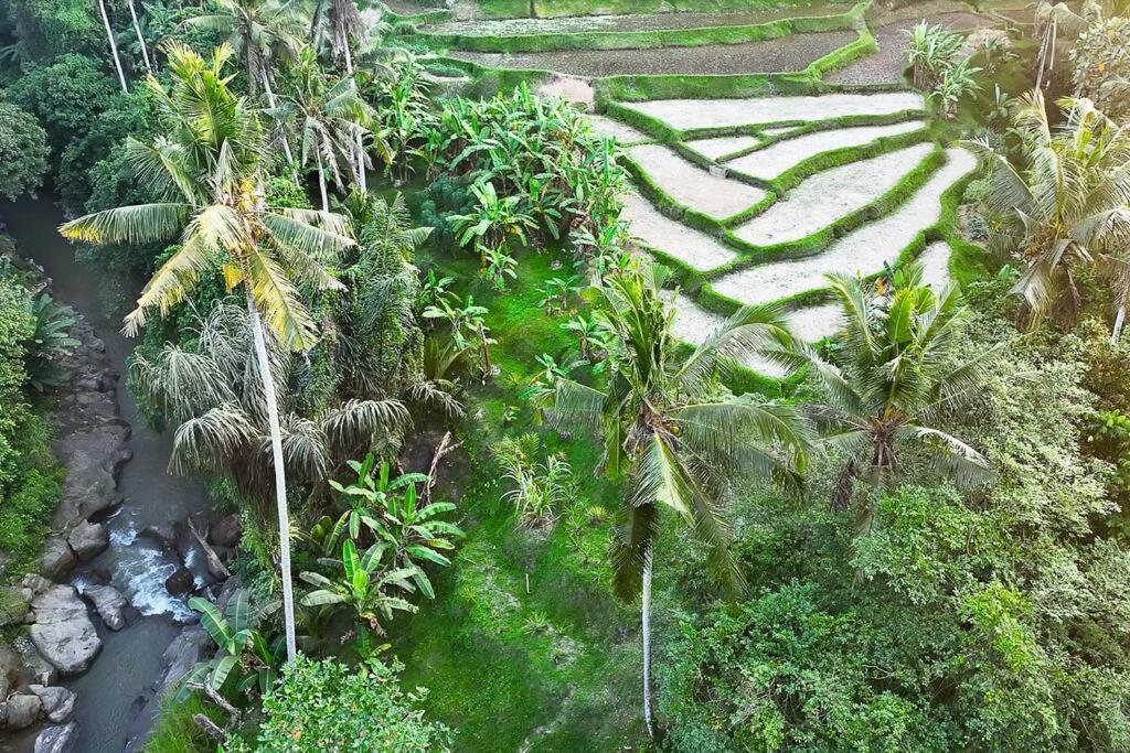Ubud Riverside Villa Екстериор снимка